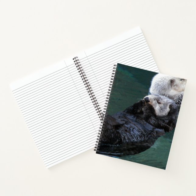 Carnet Jolie loutre de mer au bain (Intérieur)