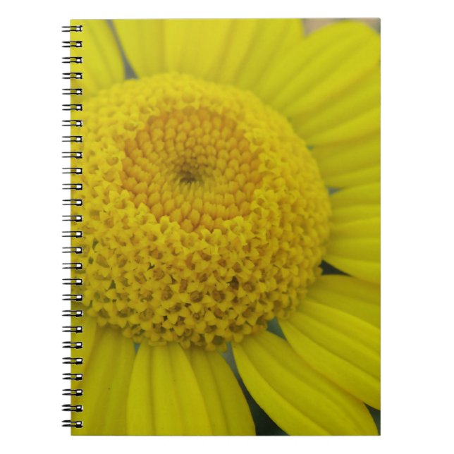 Carnet Jolie marguérite jaune (Devant)