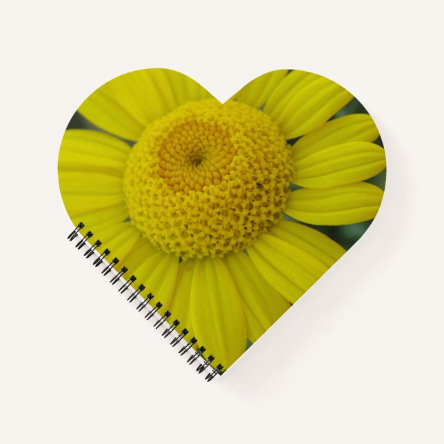 Carnet Jolie marguérite jaune (Devant)