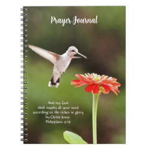 Carnet Jolie revue Colibry et Flower Faith