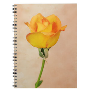 Carnet Jolie Rose jaune du jardin de Gertie