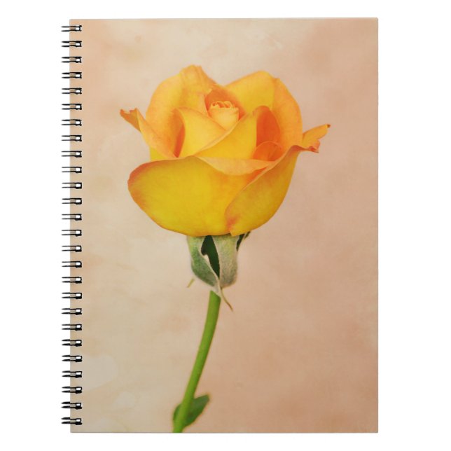 Carnet Jolie Rose jaune du jardin de Gertie (Devant)