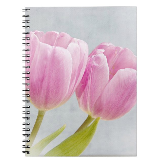 Carnet Jolie tulipe rose (Devant)