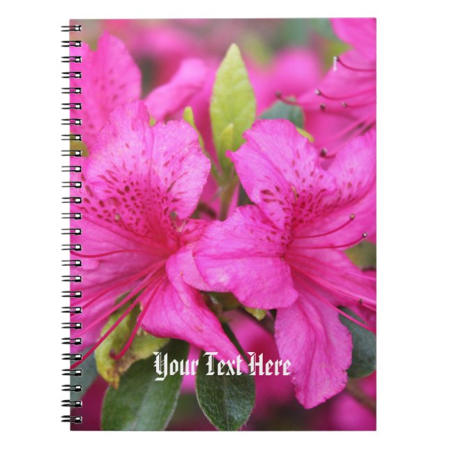 Carnet jolies fleurs d'azalée roses (Devant)