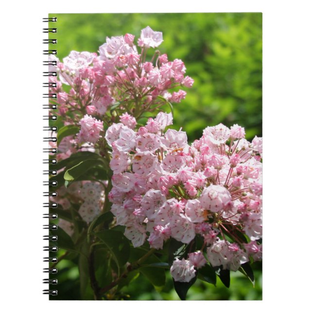 Carnet Jolies fleurs de laurier rose (Devant)