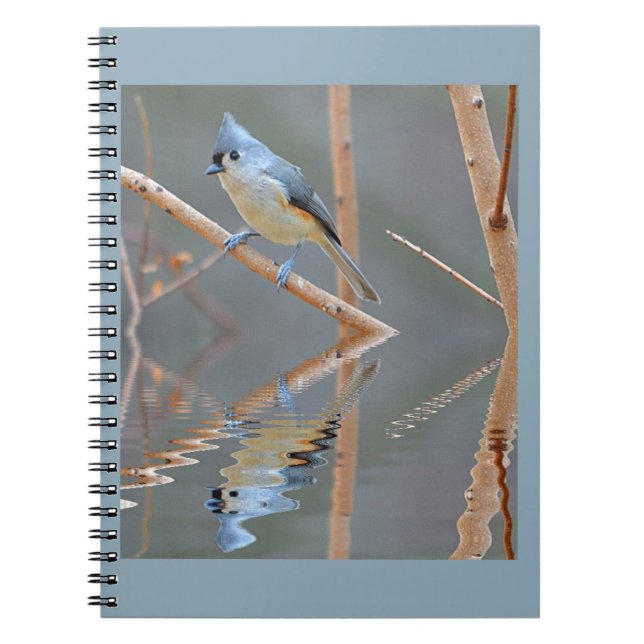 Carnet Jolies réflexions d'oiseaux (Devant)