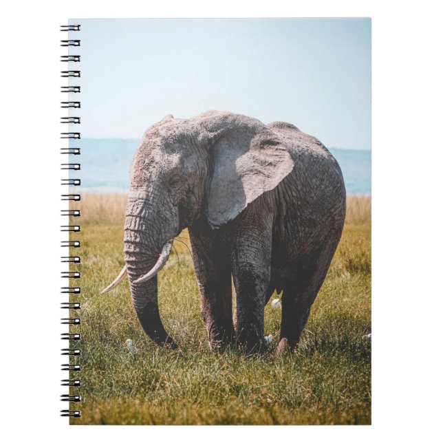CARNET JOLIMENT ÉLÉPHANT (Devant)
