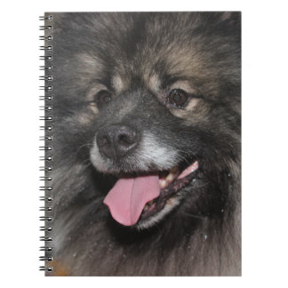 CARNET JOLIMENT FLUFFY GREY KEESHOND CHIEN