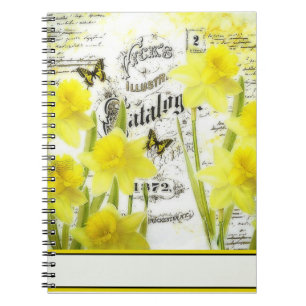Carnet Jonquilles anciennes