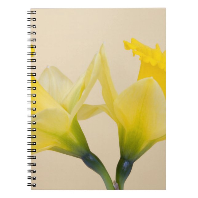 Carnet Jonquilles jaunes (Devant)
