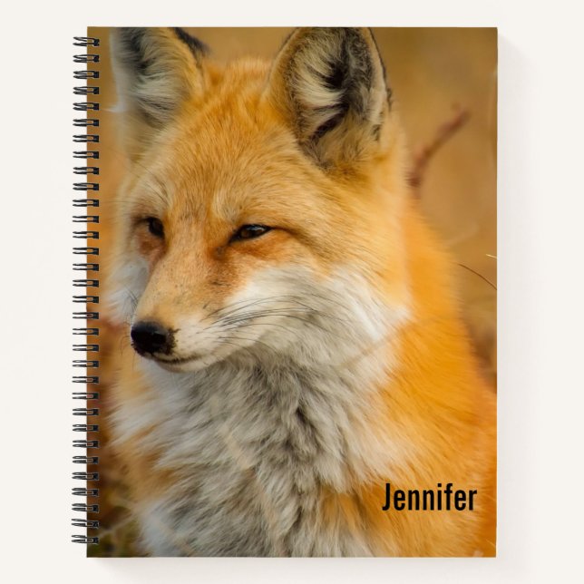 Carnet Jote Red Fox Wilderness Nature Photographie (Devant)