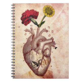 Carnet Journal, carnet, spirale, Anatomie 2, coeur