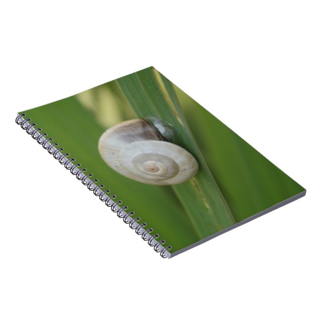 Carnet journal d'escargot (Côté Droit)