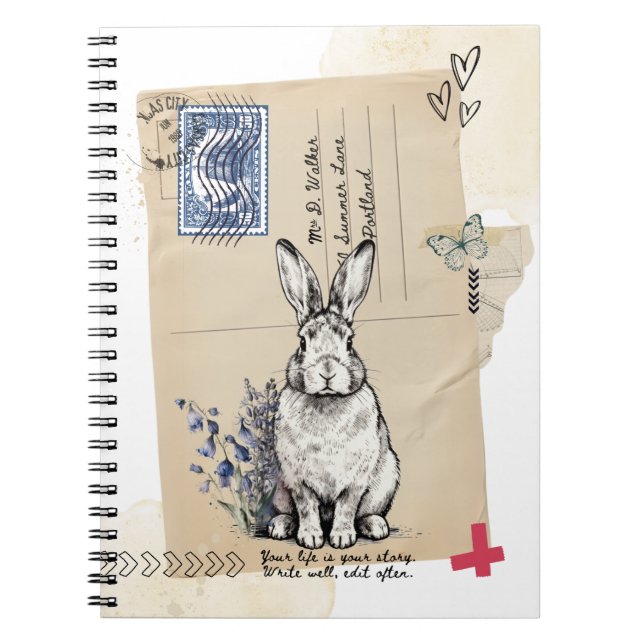 Carnet Journal Lapin Carte Postale Ancienne (Devant)