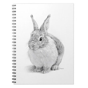 Carnet Journée du lapin