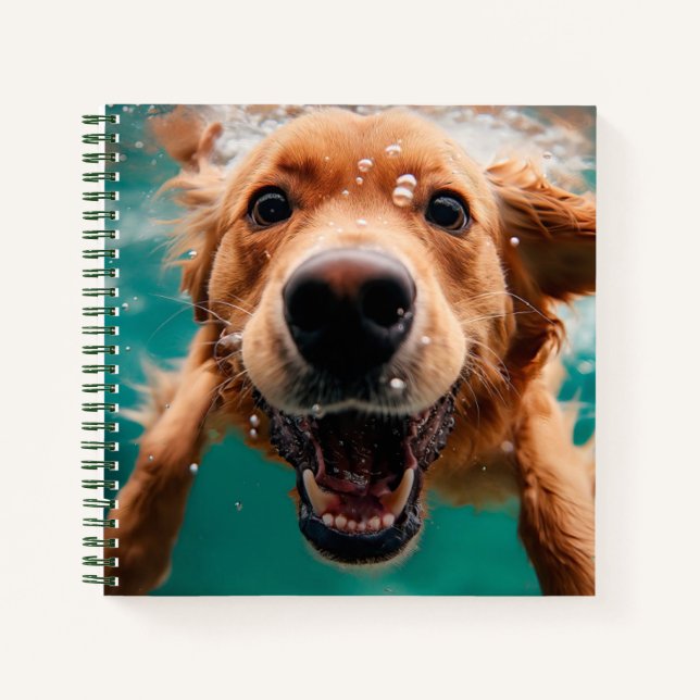 Carnet Joyeux Golden Retriever nager sous l'eau (Devant)
