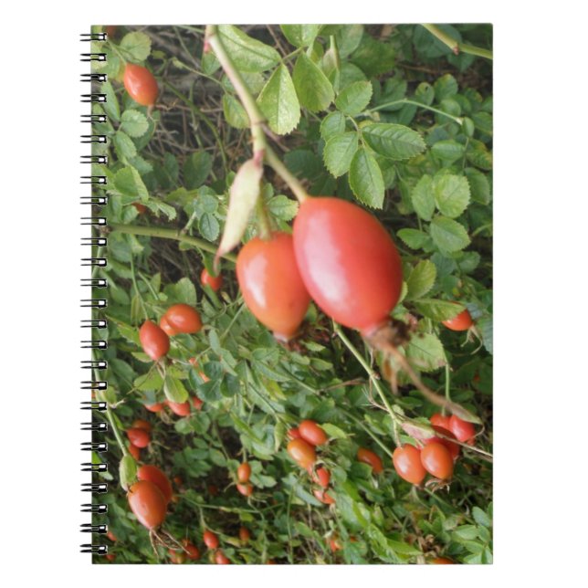 Carnet Juicy Red Rose Hips (Devant)