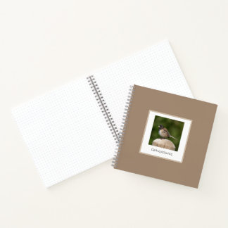 Carnet Junco aux yeux noirs – Photographie d'art ornithol
