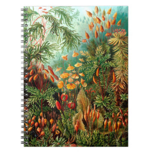 Carnet Jungle