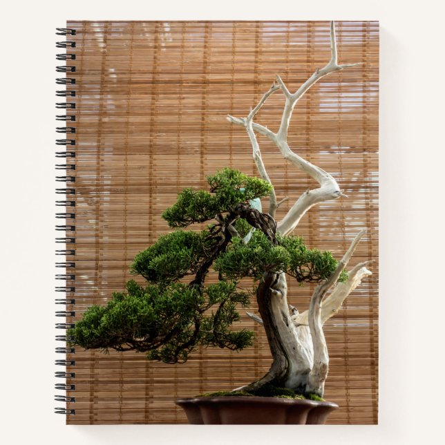 Carnet Juniper chinois Bonsai Tree Photo (Devant)