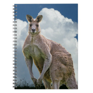 Carnet Kangaroo