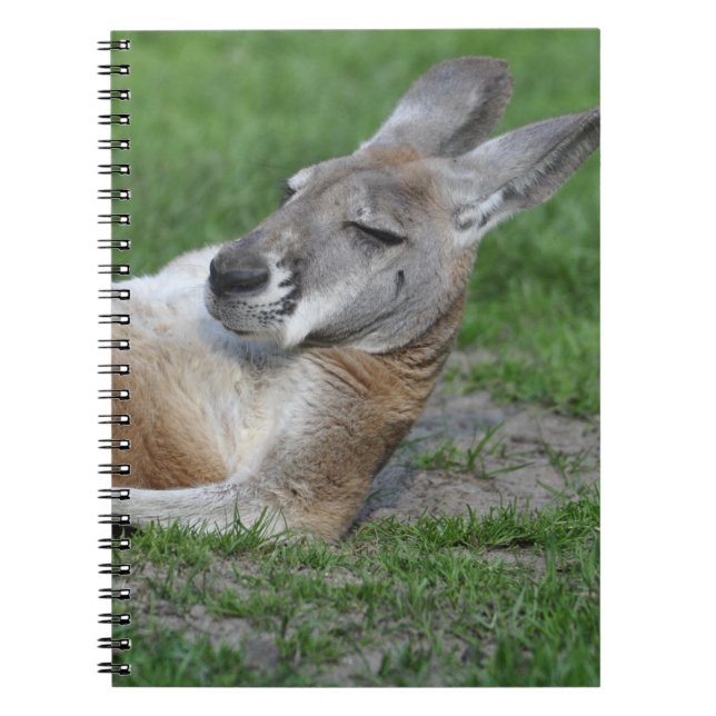 Carnet Kangaroo à dos (Devant)