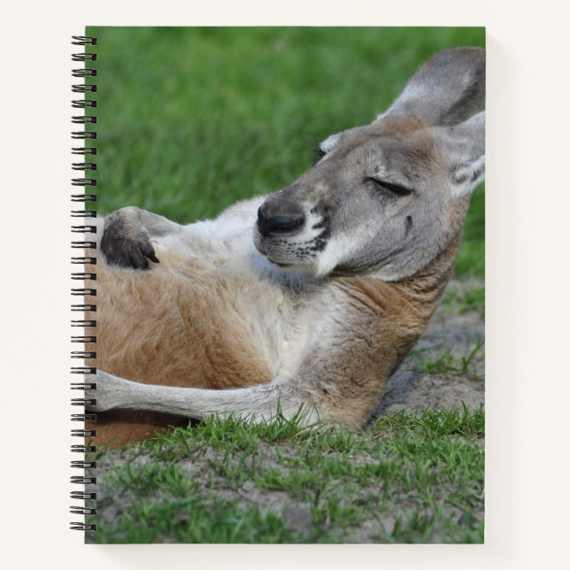 Carnet Kangaroo à dos (Devant)