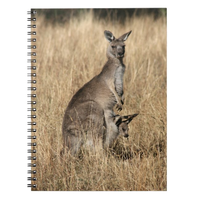 Carnet Kangaroo avec Joey bébé à Pouch (Devant)