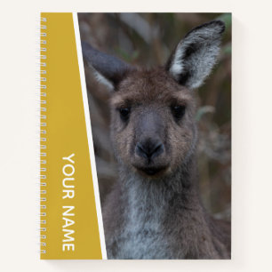 Carnet Kangaroo Baby Joey Portrait Australie, Or