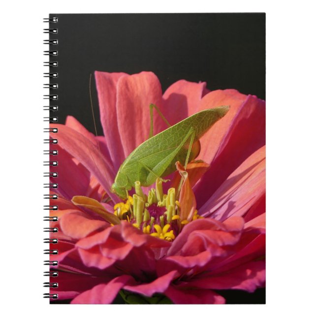 Carnet Katydid sur Zinnia (Devant)