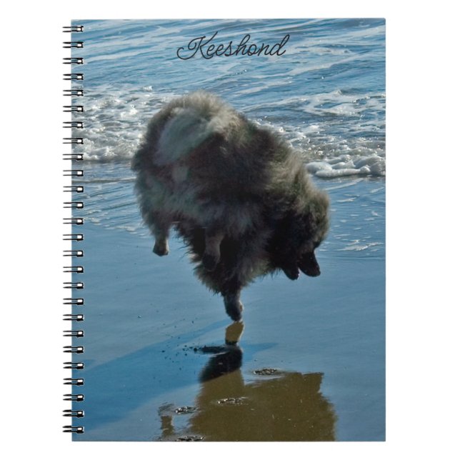 Carnet Keeshond Ballet Photographie - Joli chien d'origin (Devant)
