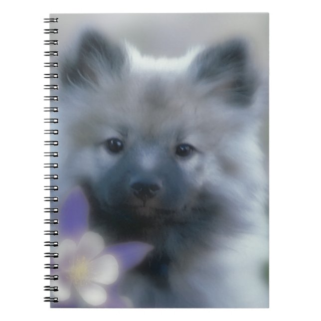 Carnet Keeshond et Columbine - Photo de chien (Devant)