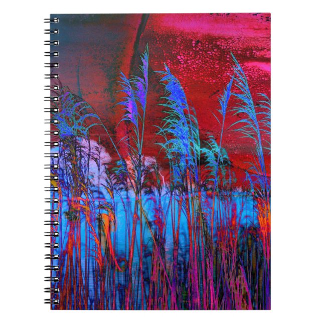 Carnet Kelly Nickels Photographie / Willows & Weeds (Devant)