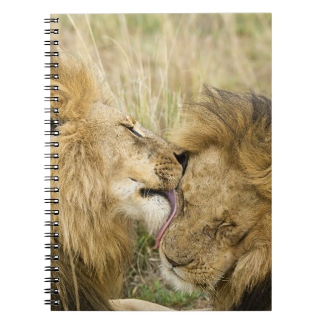 Carnet Kenya, Masai Mara (Devant)