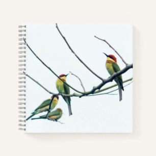 Carnet Kérala indien exotique Oiseaux d'abeille-mangeurs
