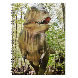 Carnet Kids dinosaure PC portable