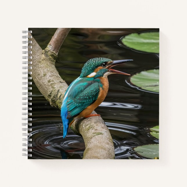 Carnet Kingfisher Bird (Devant)