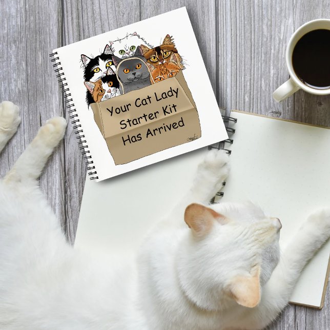 Carnet Kit d'entrée Lady Cat (Créateur téléchargé)