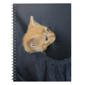 Carnet Kitten en valise