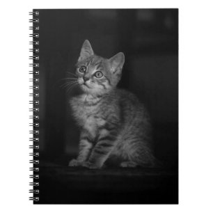 Carnet Kitten précieux
