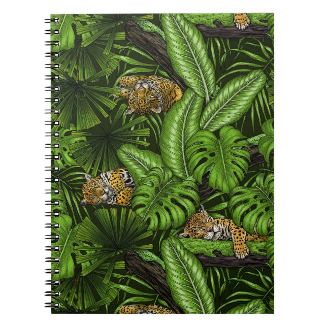 Carnet Kittés de la jungle (Devant)