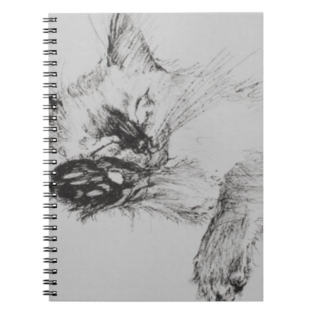 Carnet Kitty 'Baby (Devant)