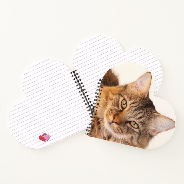 Carnet Kitty Love (Intérieur)