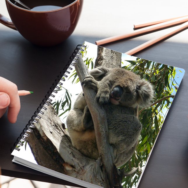 Carnet Koala - Endormi (Créateur téléchargé)