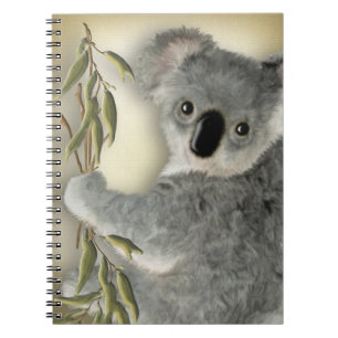 Carnet Koala mignon