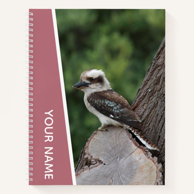 Carnet Kookaburra Australie Laughing Bird, or Rose (Devant)