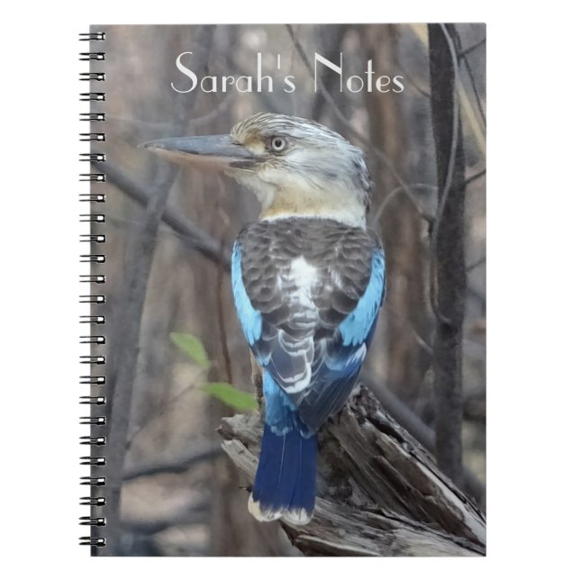 Carnet Kookaburra Bird (Devant)