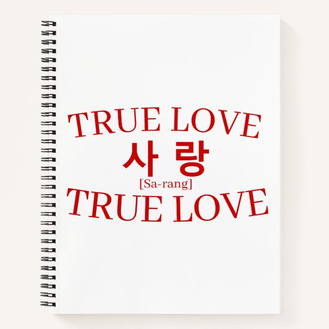 Carnet Korean Hangul "True Love" Sarang Study (Devant)