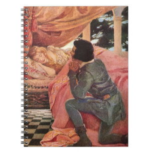 Carnet La Belle au Bois Dormant de Jessie Willcox Smith