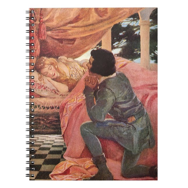 Carnet La Belle au Bois Dormant de Jessie Willcox Smith (Devant)